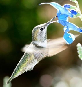 301298_10150420495578410_1742582367_n